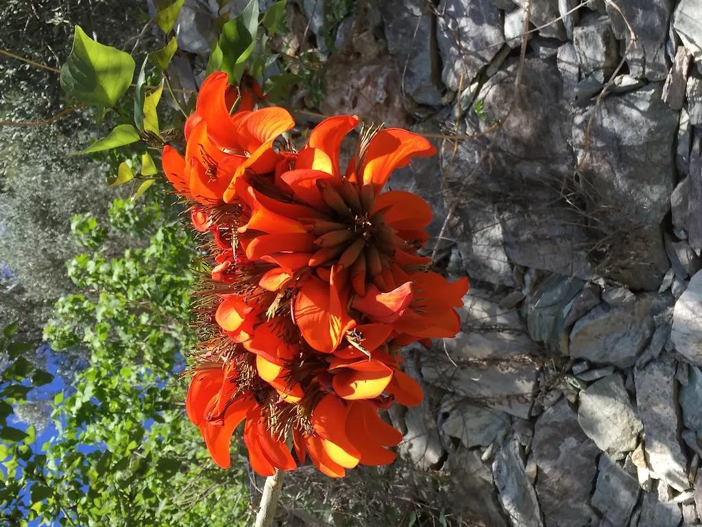 Vakantieboerderij Agriturismo La Rocca Di Perti Finale Ligure Italië